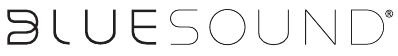 Bluesound - Node 2 - Marca Marca