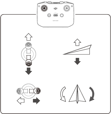 dji - MINI 2 - Tipos de vuelo 1 Tipos de vuelo 1
