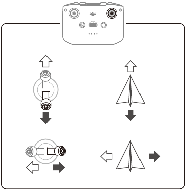 dji - MINI 2 - Tipos de vuelo 2 Tipos de vuelo 2