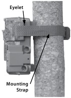 Moultrie - M-880 - INSTRUCCIONES DE INICIO RÁPIDO Paso 1 INSTRUCCIONES DE INICIO RÁPIDO Paso 1