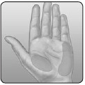 OneTouch - Ultra Mini - Toma de muestras de la palma de la mano Toma de muestras de la palma de la mano