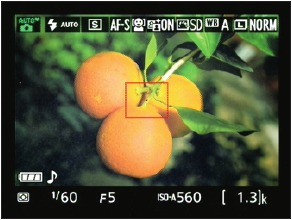 Nikon - D3300 - Figura 1-14 Mostrar indicadores de foto Figura 1-14 Mostrar indicadores de foto