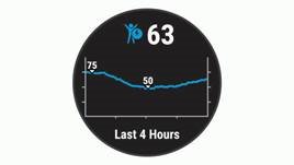 Garmin - FORERUNNER 45 - Visualización del widget de Body Battery Paso 1 Visualización del widget de Body Battery Paso 1