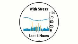 Garmin - FORERUNNER 45 - Visualización del widget de Body Battery Paso 2 Visualización del widget de Body Battery Paso 2