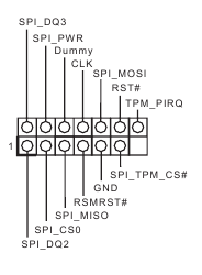 Cabezal SPI TPM