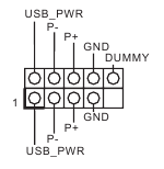 Cabezales USB 2.0