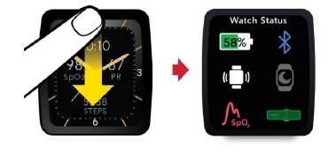 Masimo - W1 - Pantalla de estado del reloj Pantalla de estado del reloj
