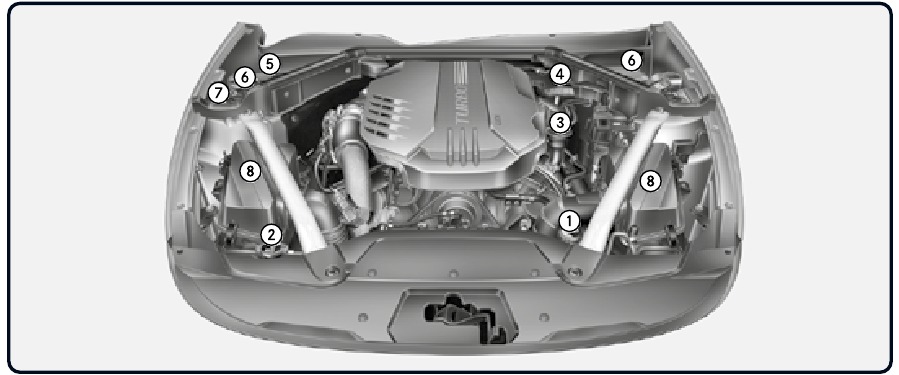 Kia - Stinger 2022 - Compartimento del motor Compartimento del motor