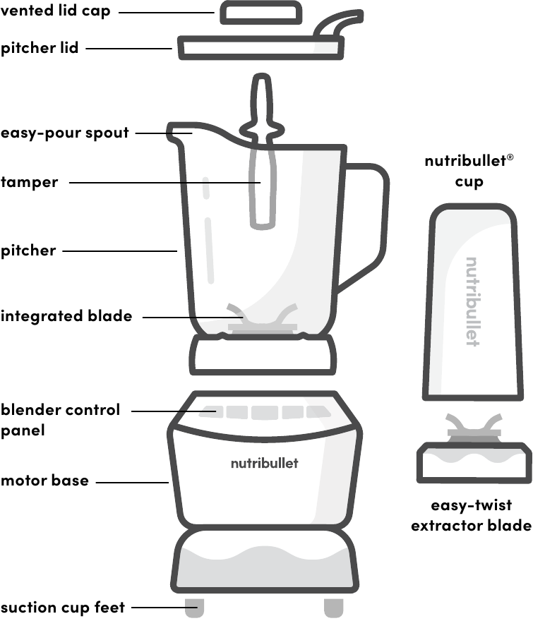 NUTRIBULLET - NBF50500 - Guía de montaje Guía de montaje