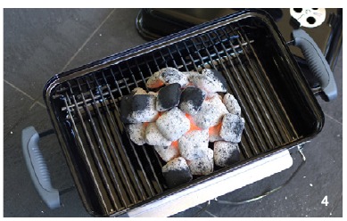 Weber - Go-Anywhere - Encendido del fuego directo - Paso 4 Encendido del fuego directo - Paso 4