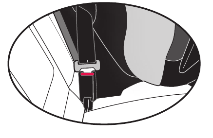 Evenflo - Chase Plus - Instalación con el cinturón de seguridad - Paso 4 Instalación con el cinturón de seguridad - Paso 4