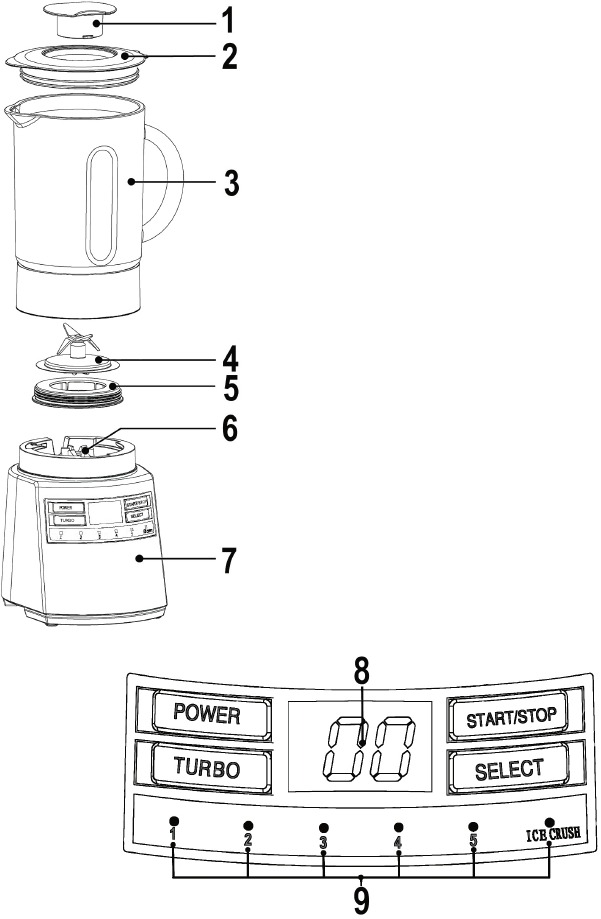 Profi Cook - PC-UM 1006 - Location of Controls / Description of the Parts Ubicación de los controles / Descripción de las piezas