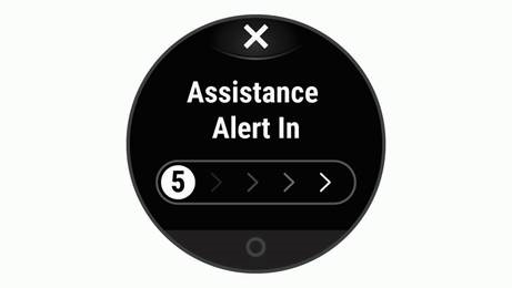 Garmin - LILY - Sugerencias para la pantalla táctil - Paso 2 Sugerencias para la pantalla táctil - Paso 2