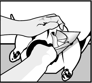 Preparaci&oacute;n del pavo PASO 4