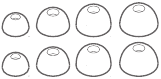Almohadillas (XS, S, M, L)