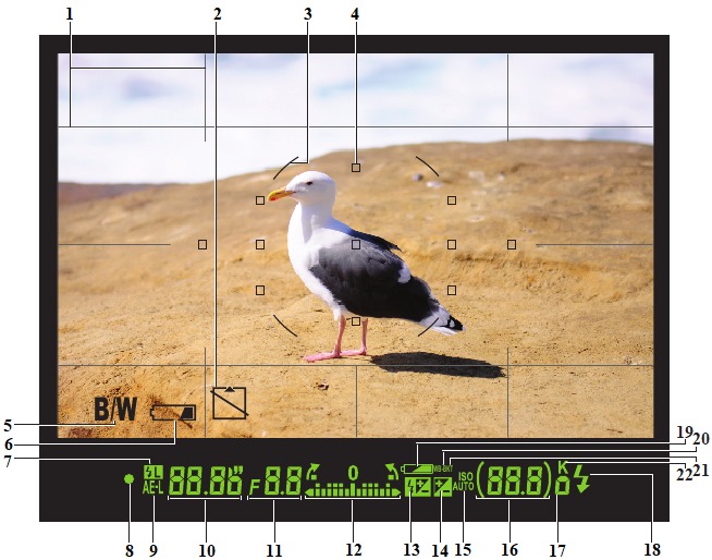 1.9 La visualizaci&oacute;n del visor.