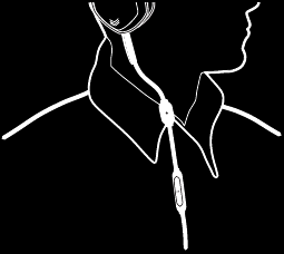 USO DE SUS AURICULARES Paso 3