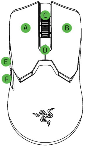 Piezas del rat&oacute;n - Frontal