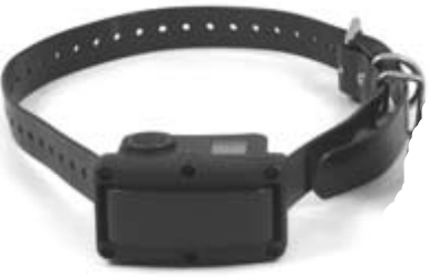 Collar