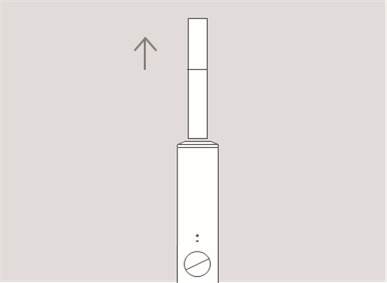 RETIRAR SMARTCORE STICK