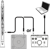 Reproducir audio a trav&eacute;s de un amplificador externo