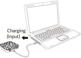 Cargando el power bank