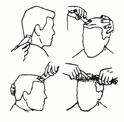 CORTES DE TRIPULACI&Oacute;N Y CORTES CORTOS PARA HOMBRES Y NI&Ntilde;OS