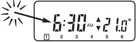 Configurando su propio programa de temperatura diario