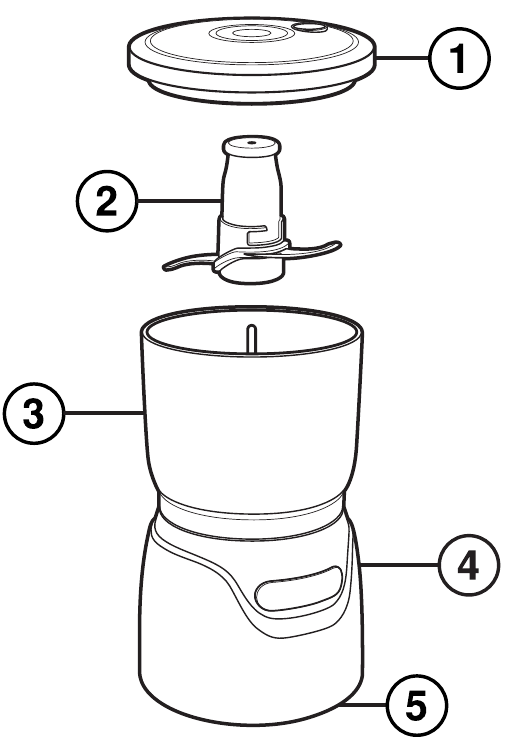Partes y caracter&iacute;sticas