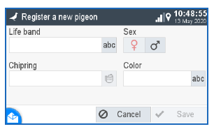 Pantalla de inicio - Palomas (Home Screen - Pigeons)