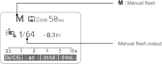 Flash Manual