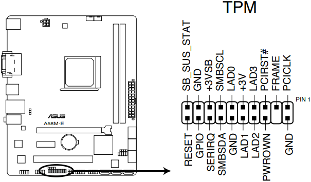 Conector TPM (TPM de 20-1 pines)