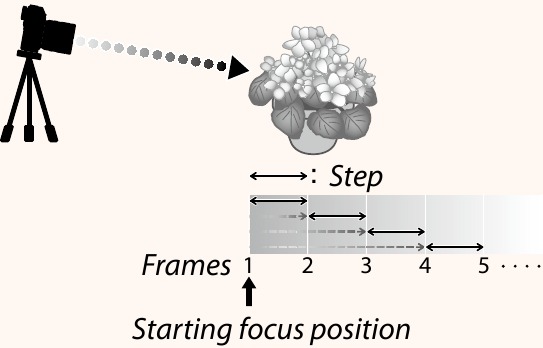 Enfoque y FRAMES/STEP