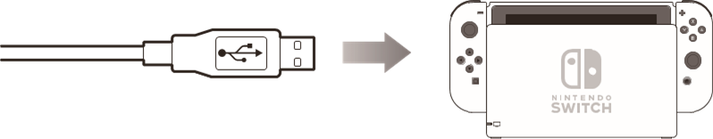 Conexi&oacute;n Switch por cable