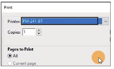 Windows - Configuraci&oacute;n de la impresora - Paso 9