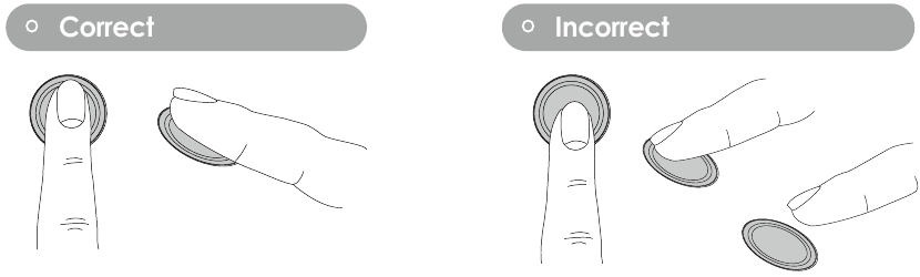 Correcto/incorrecto