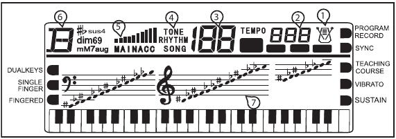 Pantalla LCD