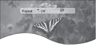 Repetir DVD/DivX