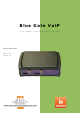 Innovamer Blue Gate VoIP Manual De Usuario