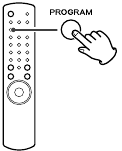 Pantalla de verificaci&oacute;n de orden programado