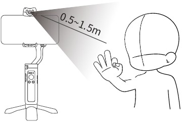 Control por gestos