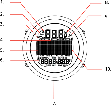 Iconos