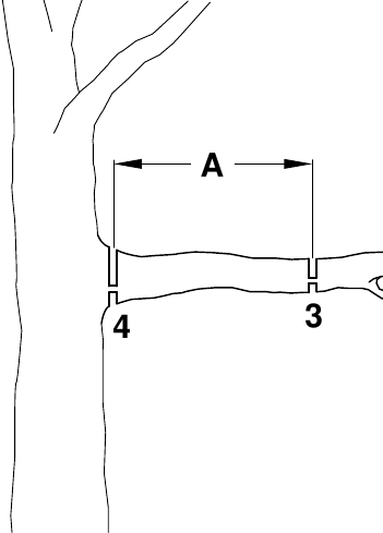 T&eacute;cnica de trabajo: paso 4