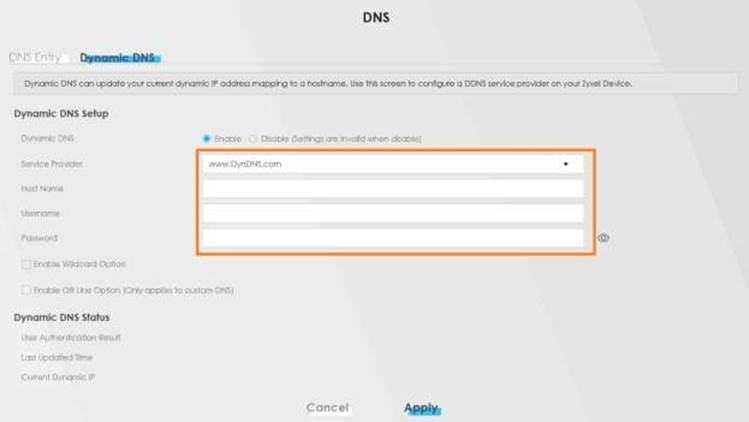 DNS din&aacute;mico