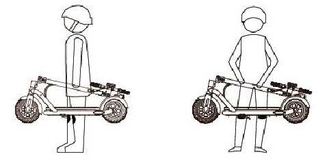 Transporte
