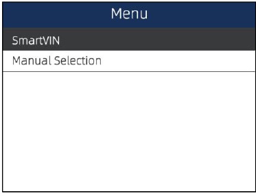Identificaci&oacute;n del veh&iacute;culo - Smart VIN - Paso 2