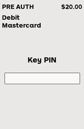 Pantalla del terminal que muestra la solicitud de PIN