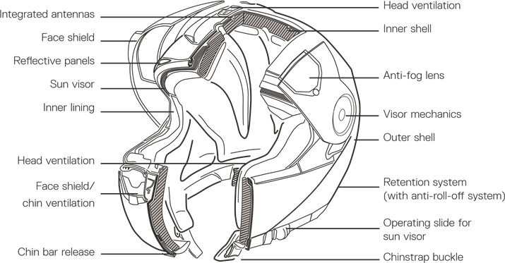 ANATOM&Iacute;A DEL CASCO