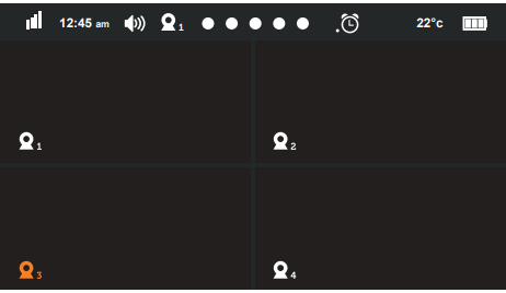 OPERATIONS - CAMERA VIEWS - Quad Screen
