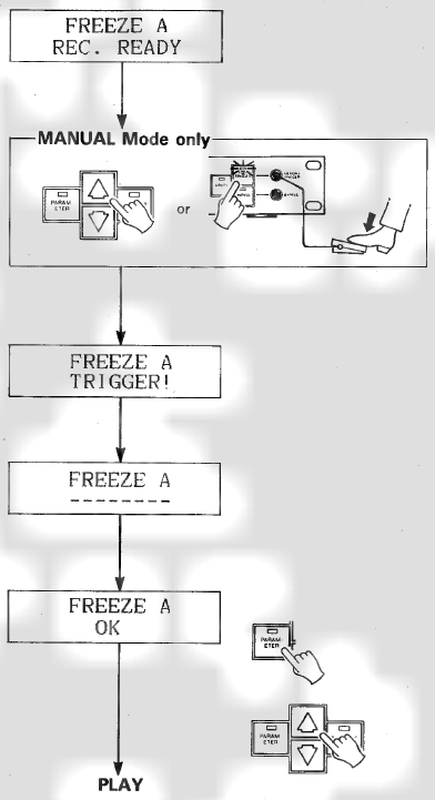 Operaci&oacute;n FREEZE - Parte 2